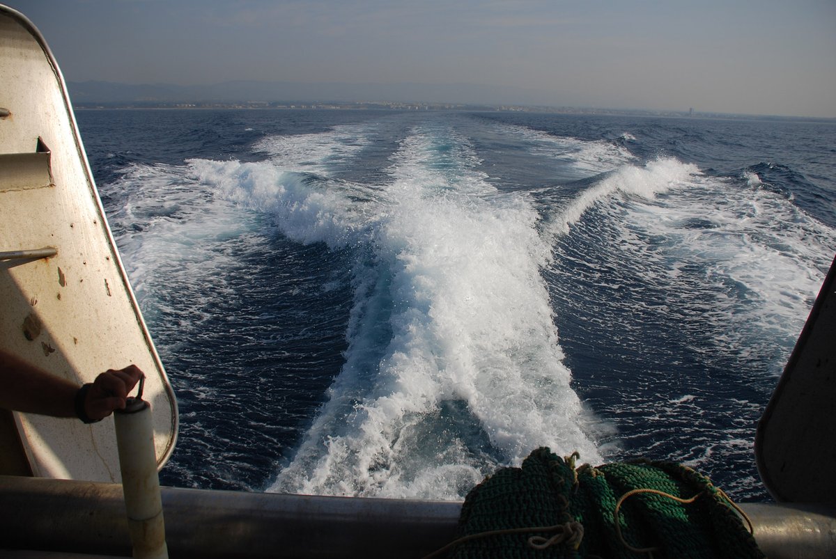 Imagen de Capitol 9 - 2007